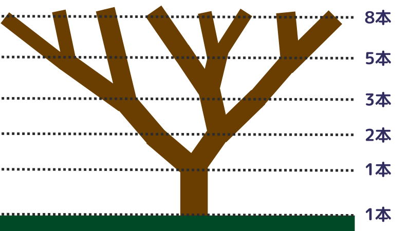 フィボナッチ,株,枝分かれ
